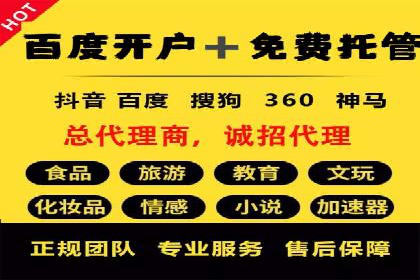 某电商平台的托管SEM竞价策略大揭秘